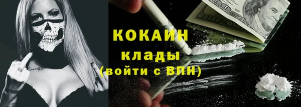 индика Осташков