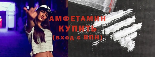 индика Осташков