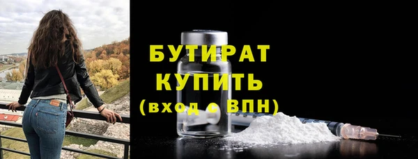 индика Осташков