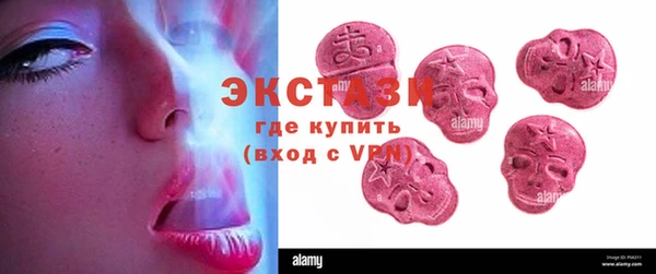 индика Осташков