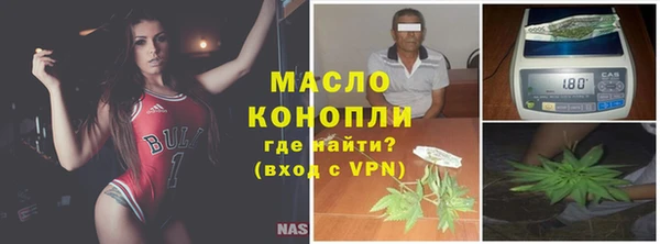 индика Осташков