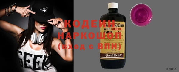 индика Осташков