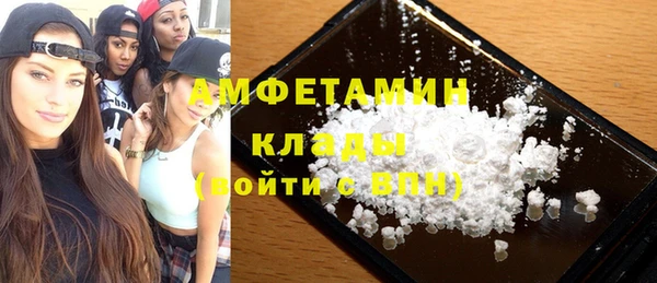 индика Осташков