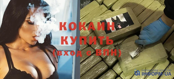 индика Осташков