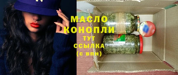 индика Осташков