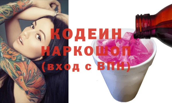 индика Осташков