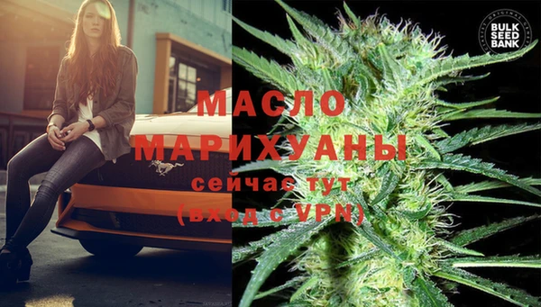 индика Осташков
