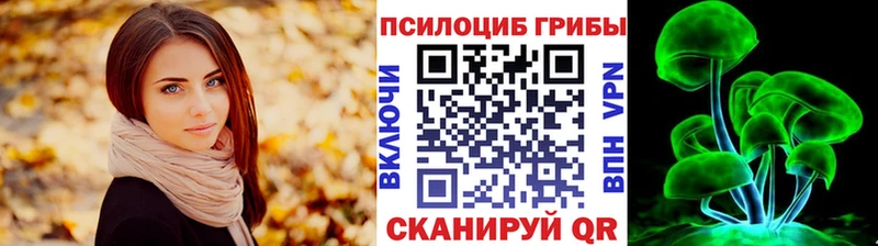 Галлюциногенные грибы мицелий продажа наркотиков Шимановск