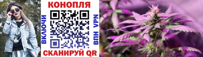 KRAKEN ССЫЛКА  Шимановск  Бошки Шишки планчик 